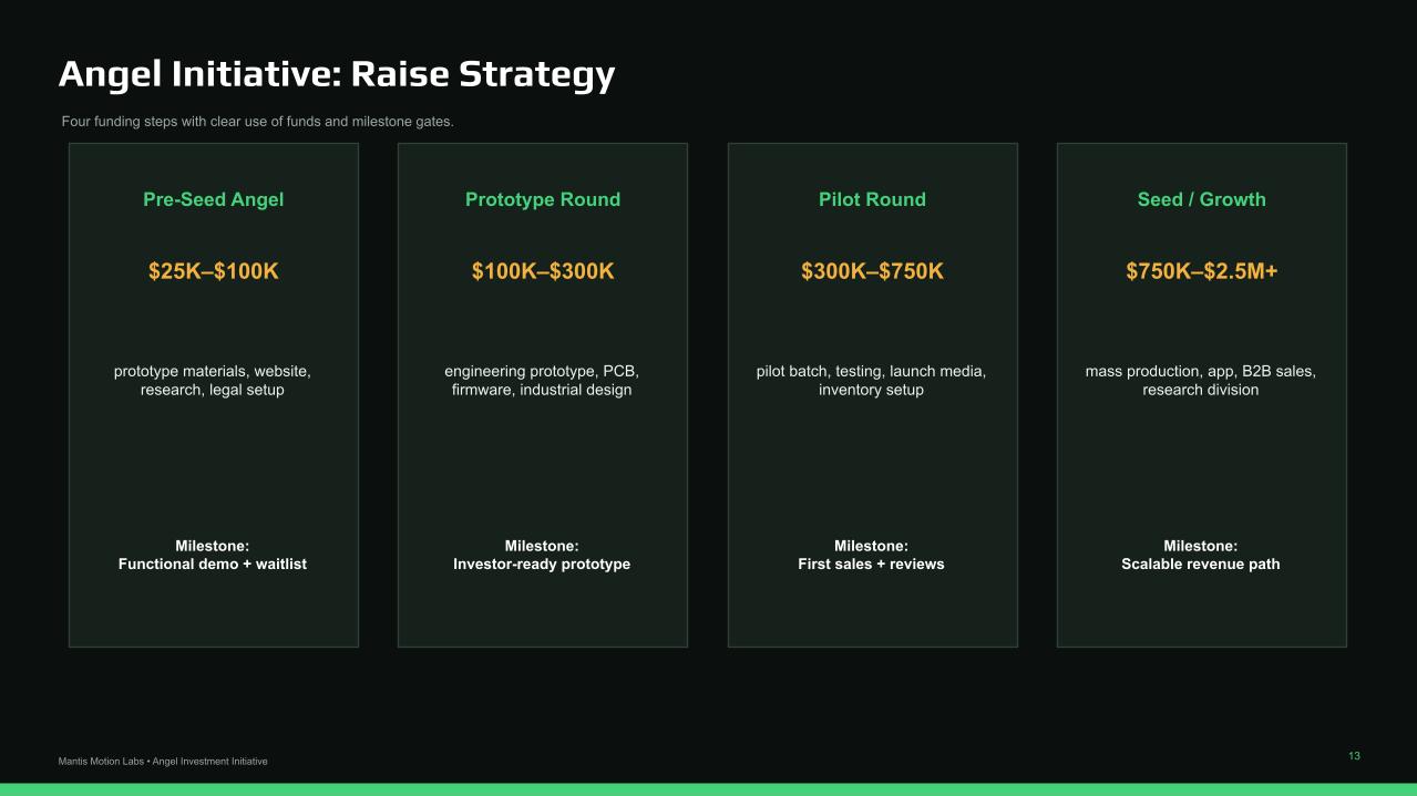 Mantis Motion Labs Angel Initiative raise strategy slide